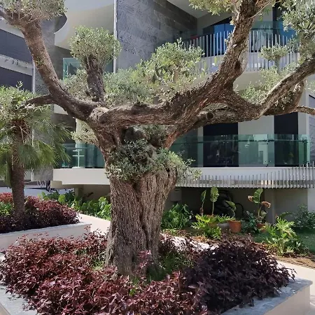 Appartement Enjoy The Aparment